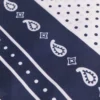 60×60 silk print bandana