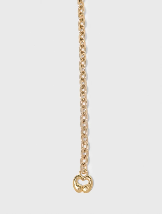 Chain belt with new link Chain belt with new link