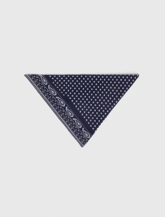 Reversible wool and cashmere scarf Reversible wool and cashmere scarf