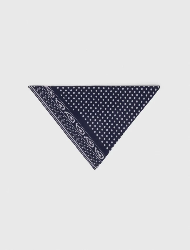 Reversible wool and cashmere scarf Reversible wool and cashmere scarf