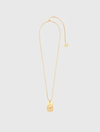 Zodiac sign plaque necklace