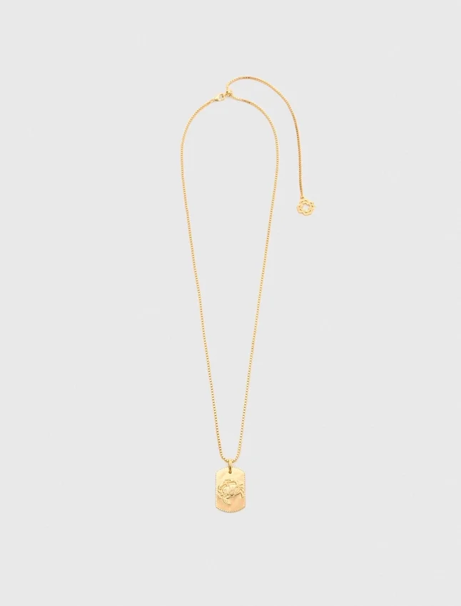 Zodiac sign plaque necklace Zodiac sign plaque necklace