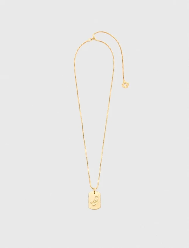 Zodiac sign plaque necklace Zodiac sign plaque necklace