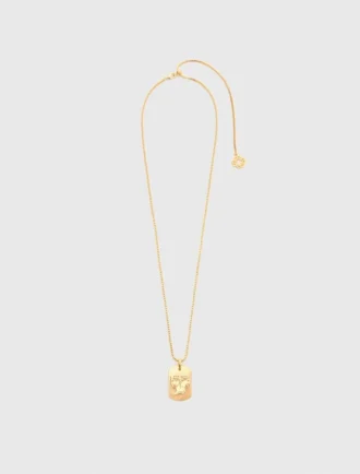 Zodiac sign plaque necklace