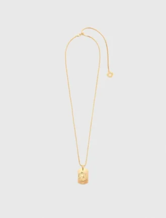 Zodiac sign plaque necklace