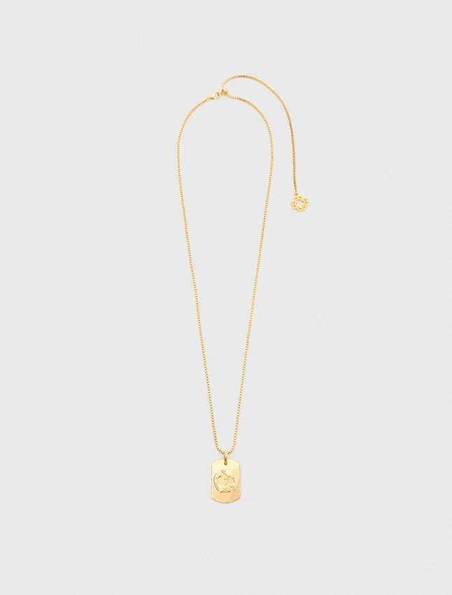 Zodiac sign plaque necklace Zodiac sign plaque necklace