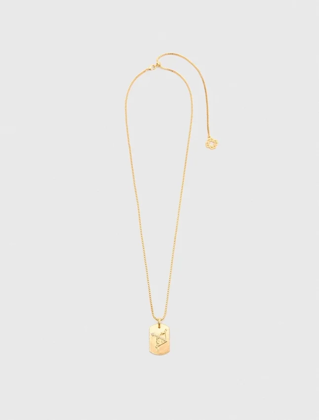 Zodiac sign plaque necklace Zodiac sign plaque necklace