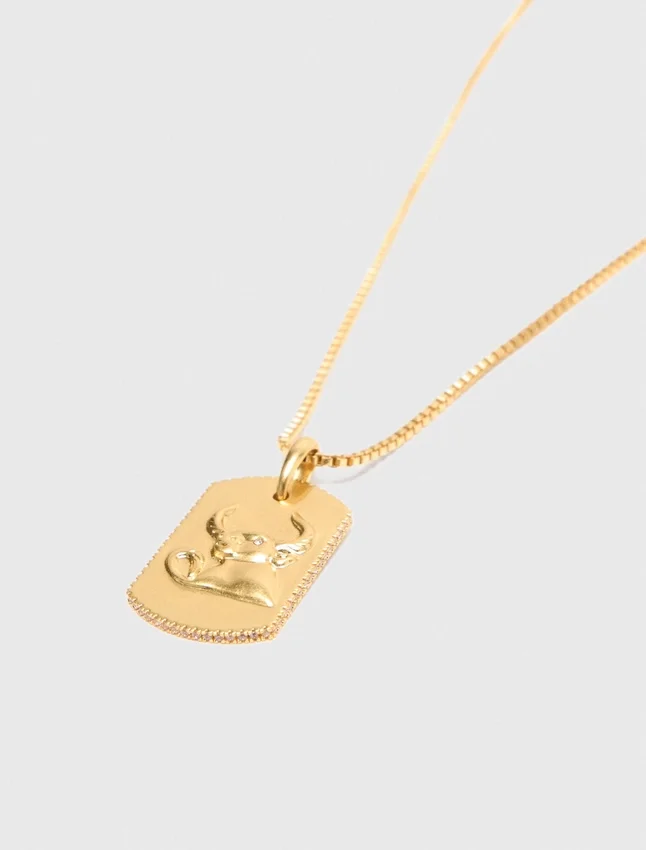 Zodiac sign plaque necklace Zodiac sign plaque necklace