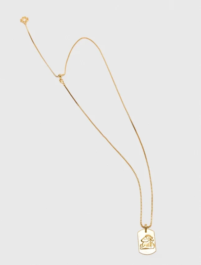 Zodiac sign plaque necklace Zodiac sign plaque necklace