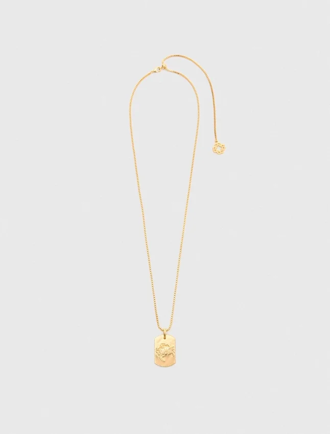 Zodiac sign plaque necklace Zodiac sign plaque necklace