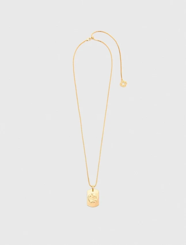 Zodiac sign plaque necklace Zodiac sign plaque necklace