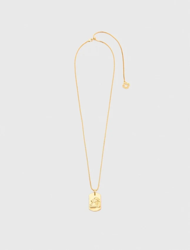 Zodiac sign plaque necklace Zodiac sign plaque necklace