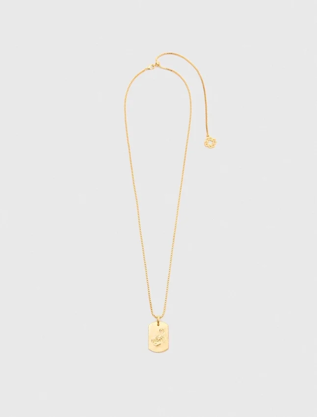 Zodiac sign plaque necklace Zodiac sign plaque necklace