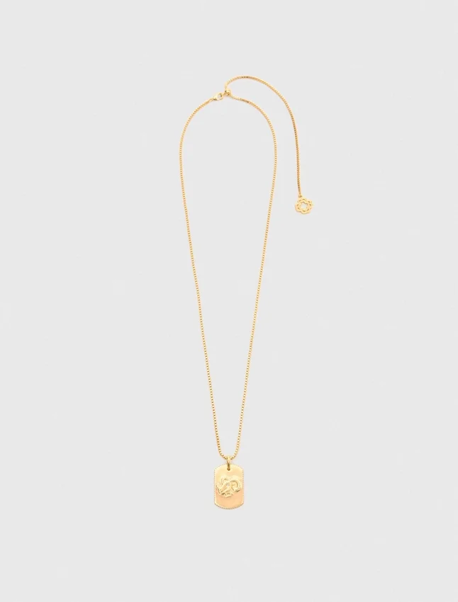 Zodiac sign plaque necklace Zodiac sign plaque necklace